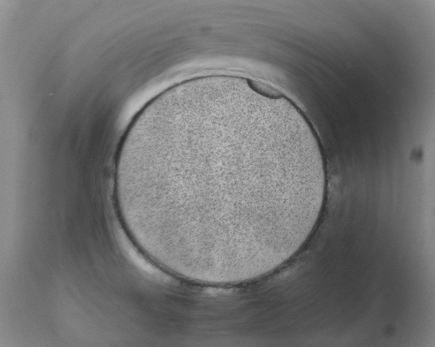 X0000113141523200910021428