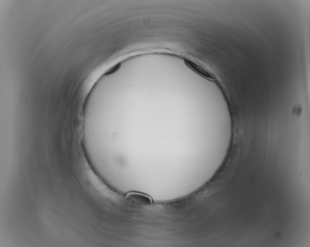 X0000113141524200910021428