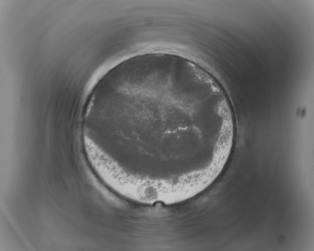 X0000113141525200910021428