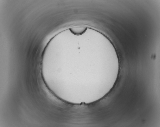 X0000113141526200910021428