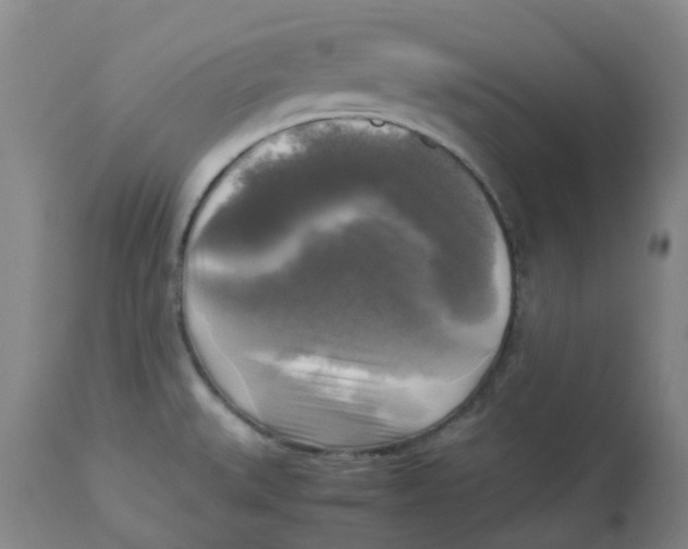 X0000113141527200910021428