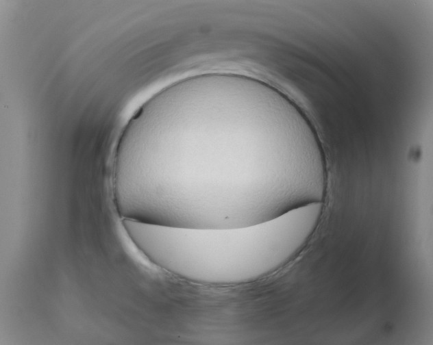 X0000113141528200910021428