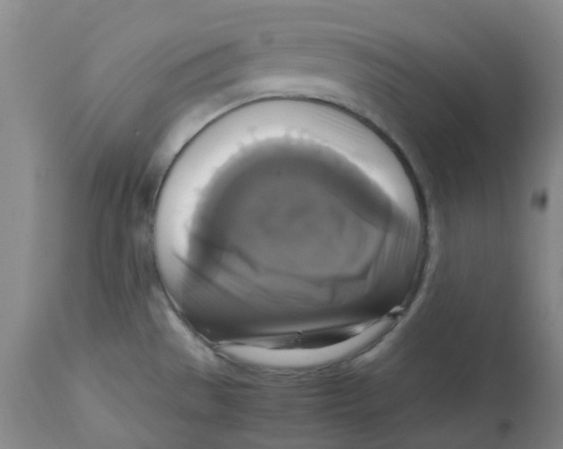 X0000113141529200910021428