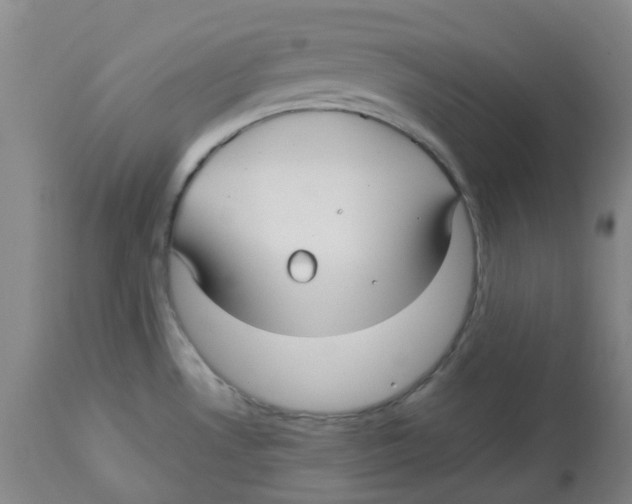 X0000113141530200910021428