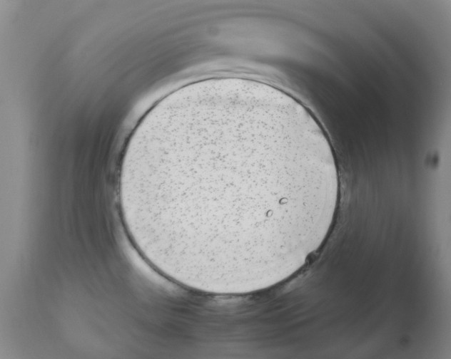 X0000113141531200910021428