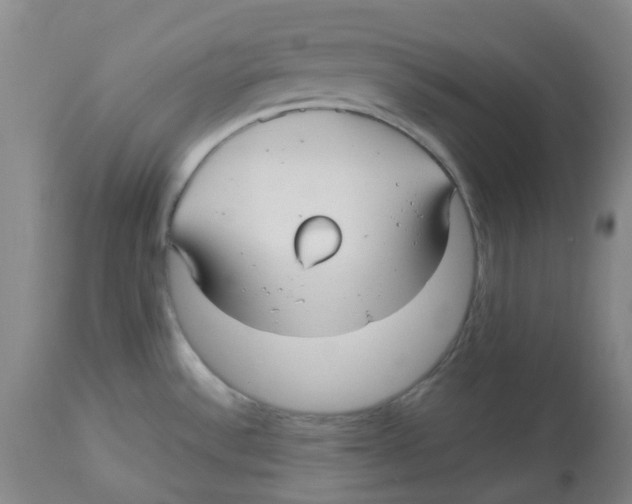 X0000113141532200910021428