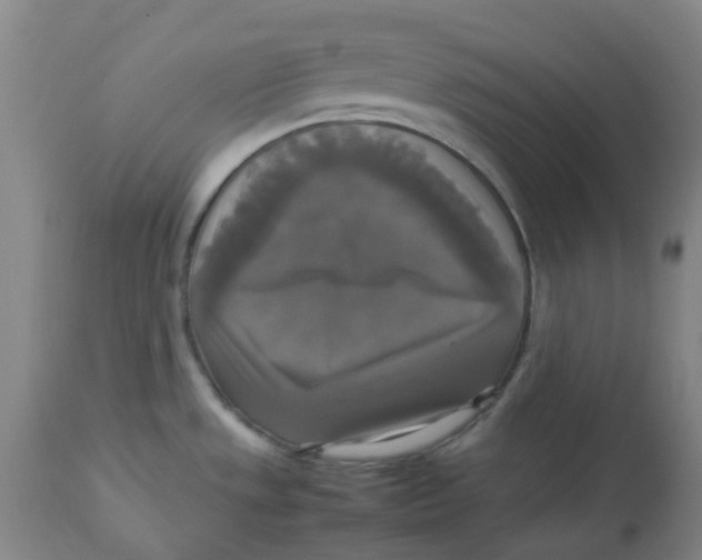 X0000113141533200910021428