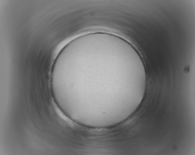 X0000113141535200910021428