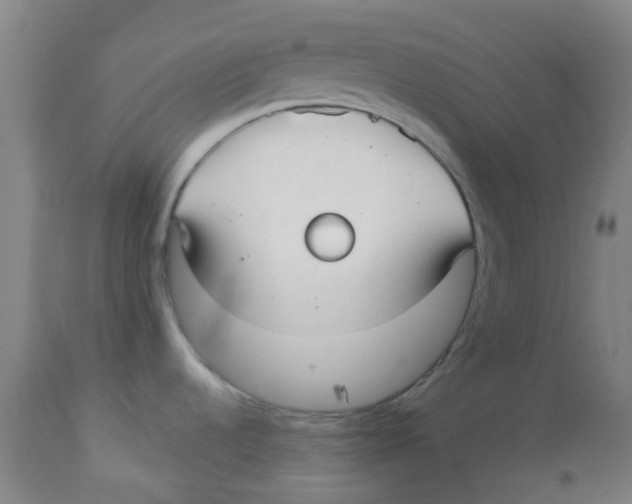 X0000113141536200910021428