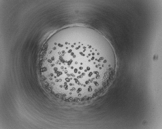 X0000113140001200910161207