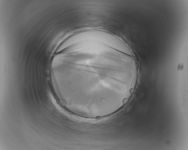 X0000113140002200910161207