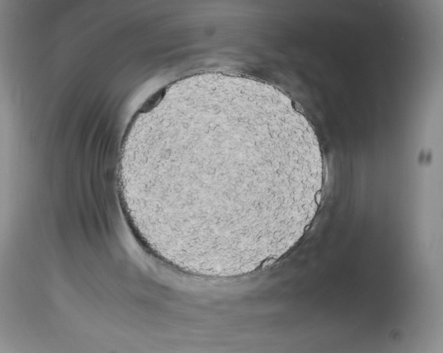 X0000113140003200910161207
