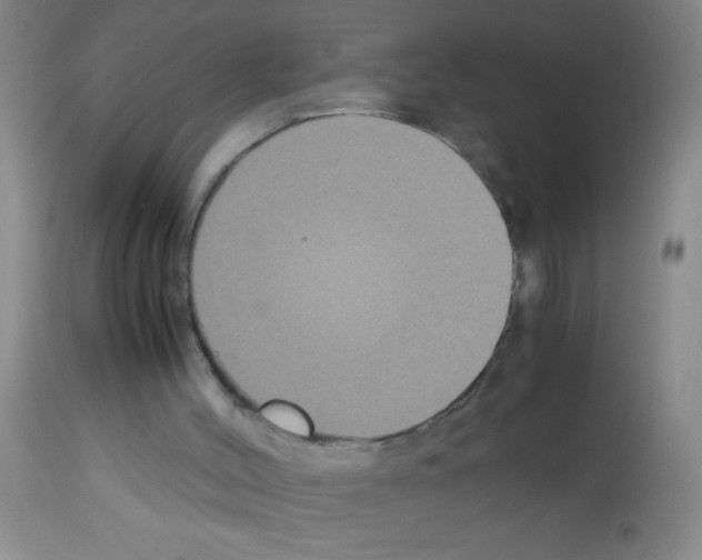 X0000113140004200910161207