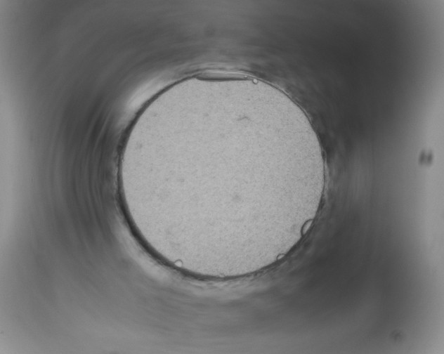 X0000113140005200910161207
