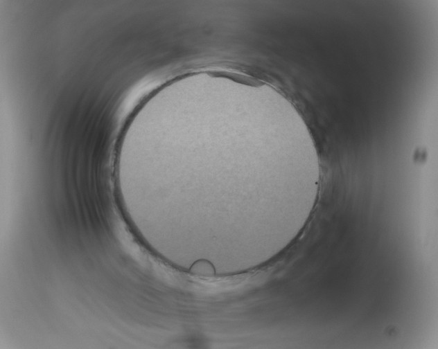 X0000113140006200910161207