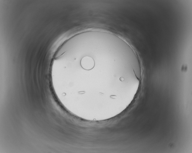 X0000113140007200910161207