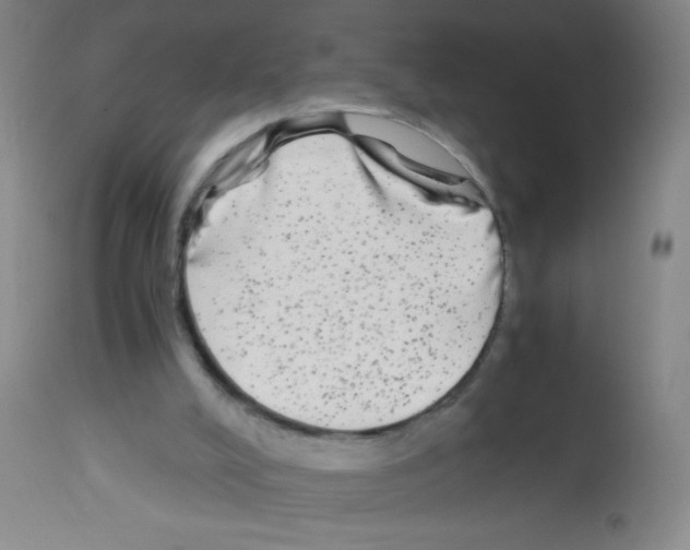 X0000113140008200910161207