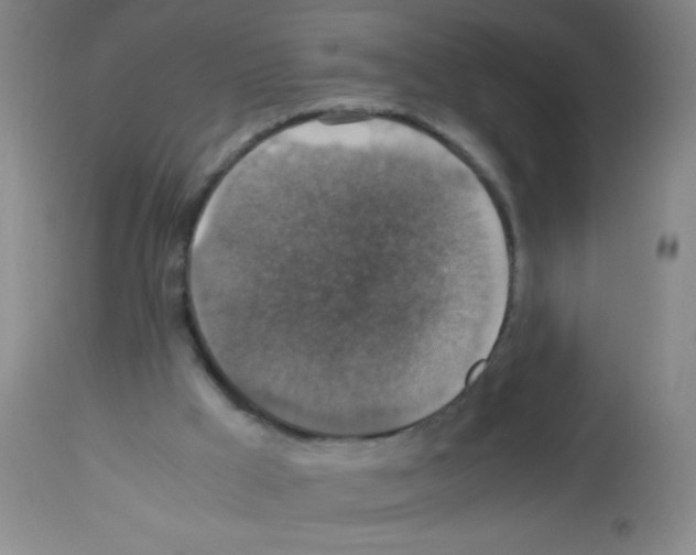 X0000113140009200910161207