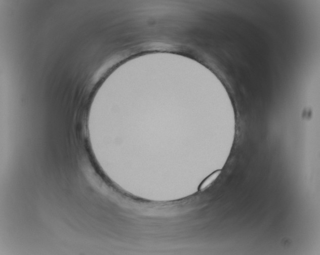 X0000113140011200910161207