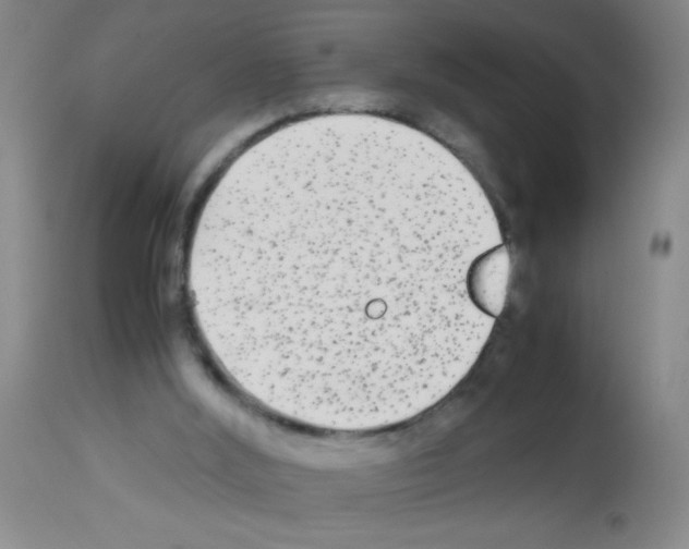 X0000113140012200910161207