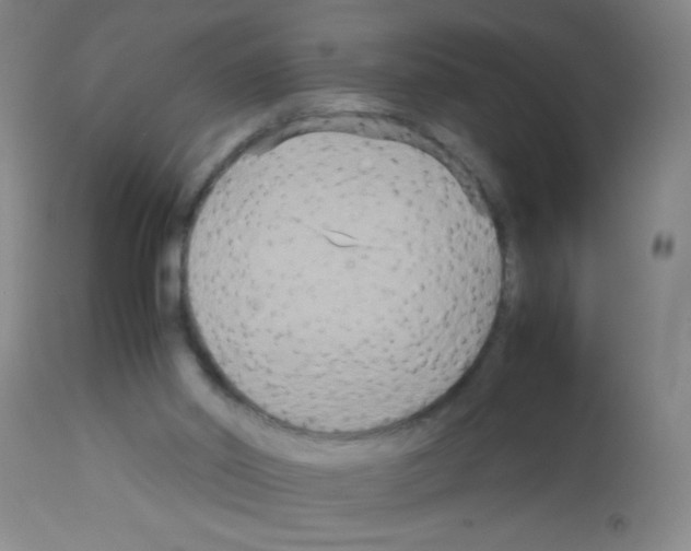 X0000113140014200910161207