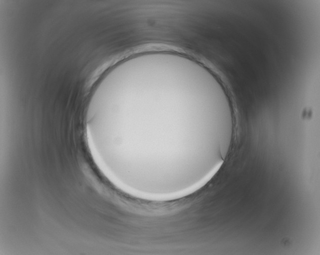 X0000113140015200910161207