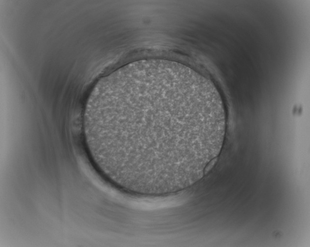 X0000113140017200910161207