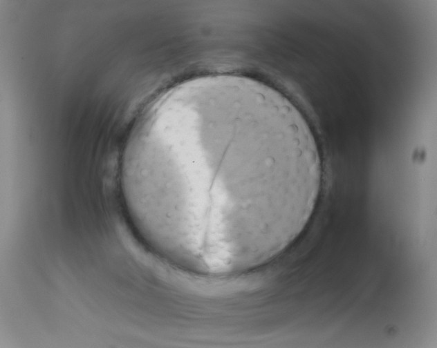 X0000113140018200910161207