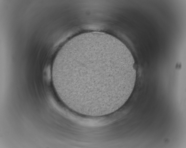 X0000113140020200910161207