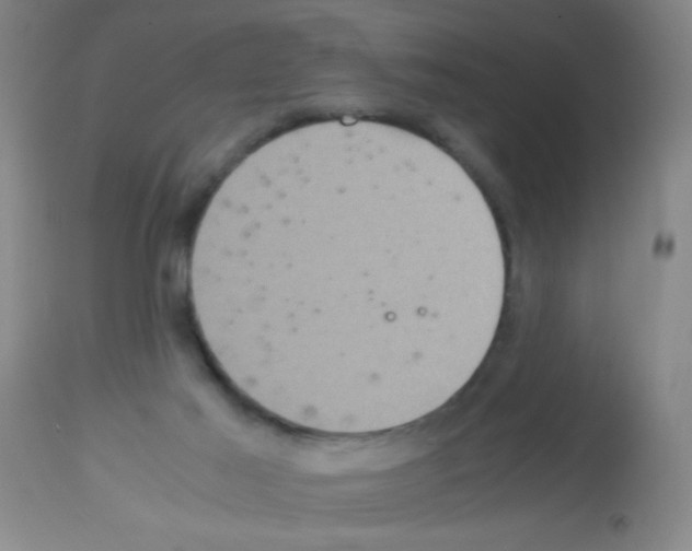 X0000113140021200910161207