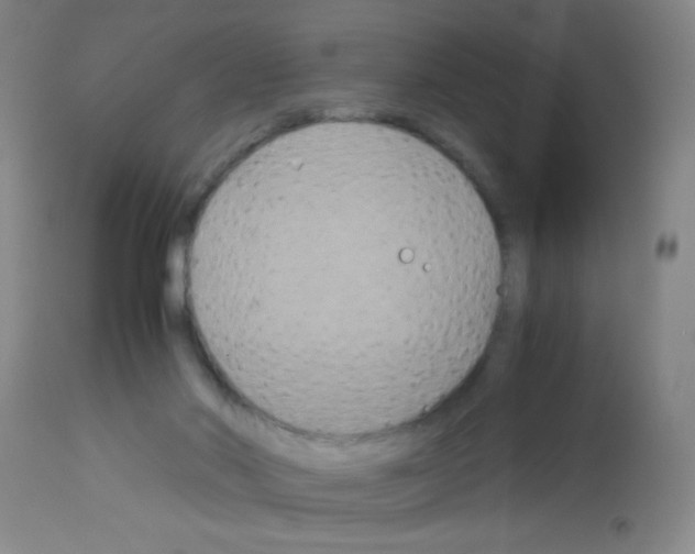 X0000113140022200910161207
