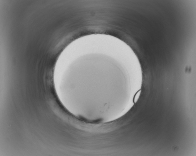 X0000113140023200910161207