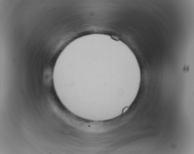 X0000113140024200910161207