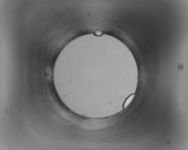 X0000113140025200910161207