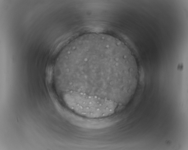 X0000113140026200910161207