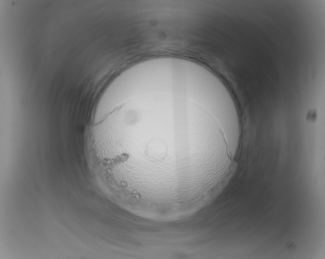 X0000113140027200910161207