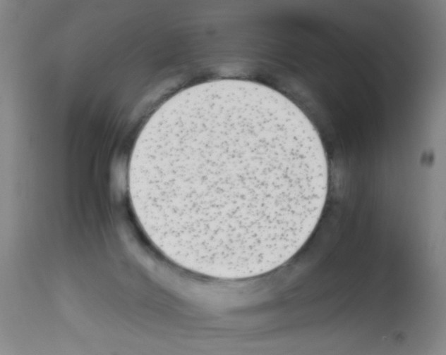 X0000113140028200910161207