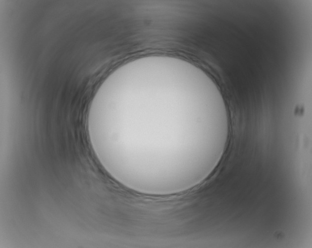 X0000113140029200910161207