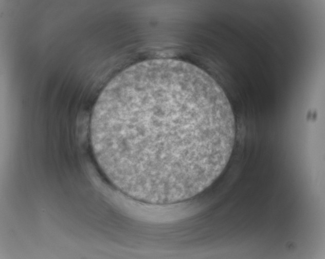 X0000113140030200910161207
