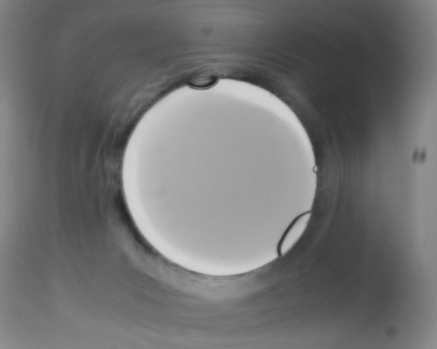X0000113140031200910161207