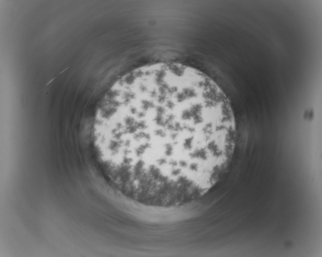 X0000113140034200910161207