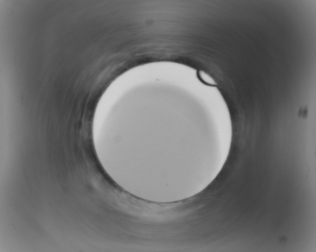 X0000113140035200910161207