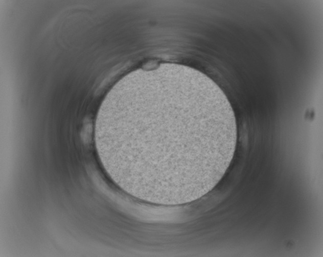X0000113140036200910161207