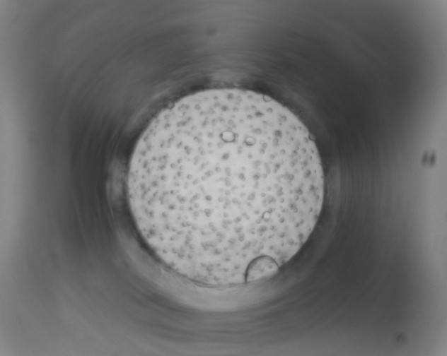 X0000113140038200910161207