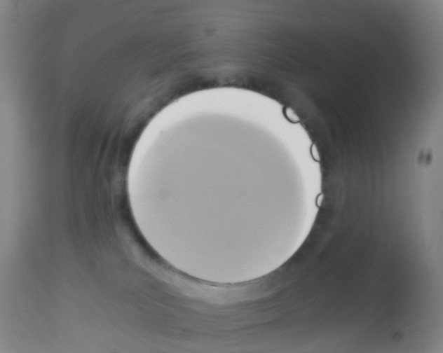 X0000113140039200910161207