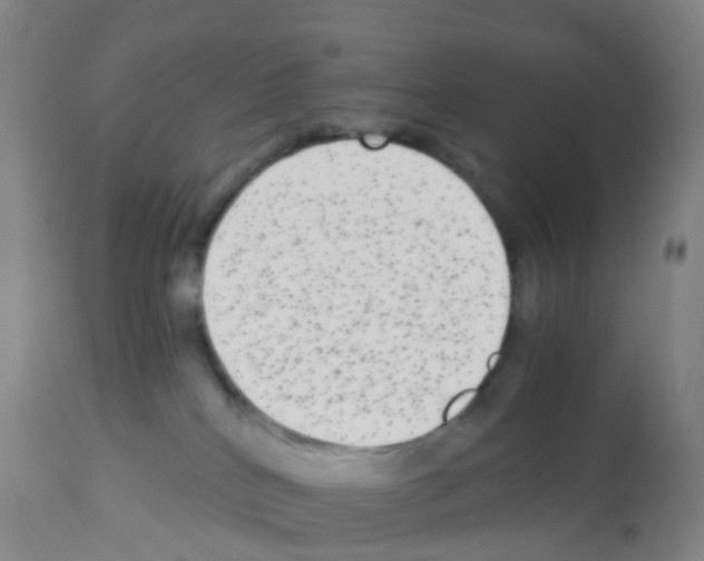 X0000113140040200910161207