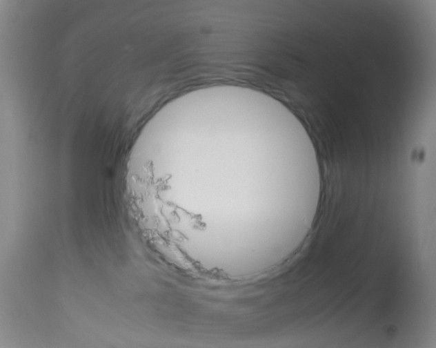 X0000113140041200910161207
