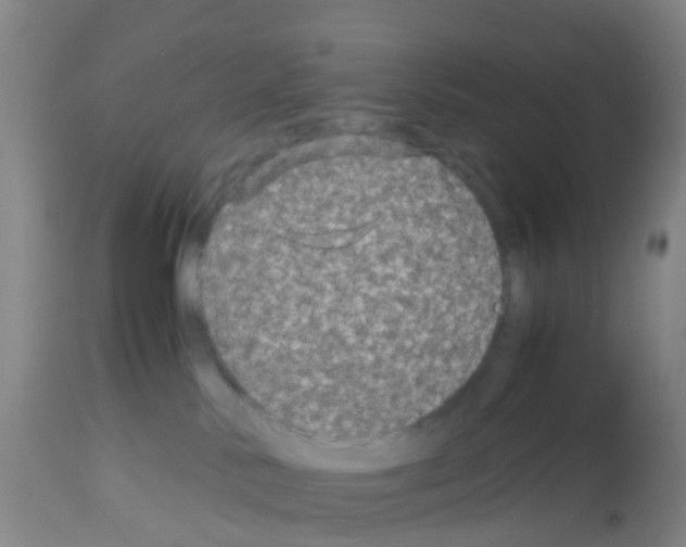 X0000113140042200910161207