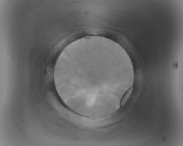 X0000113140043200910161207