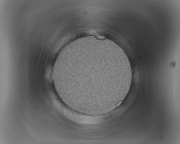 X0000113140044200910161207